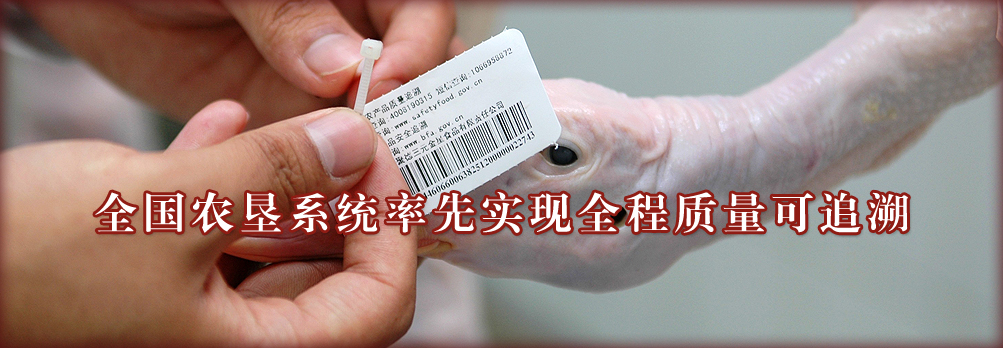 全程質(zhì)量可追溯